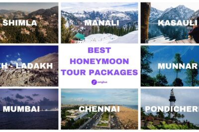 Top Honeymoon Trips in India – Best Honeymoon Tour Packages by Zingbus