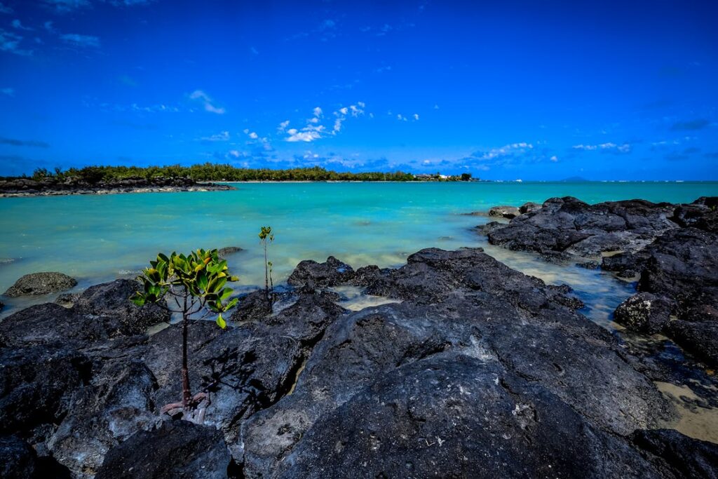 Mauritius Visa from India: pexels-photo-273760