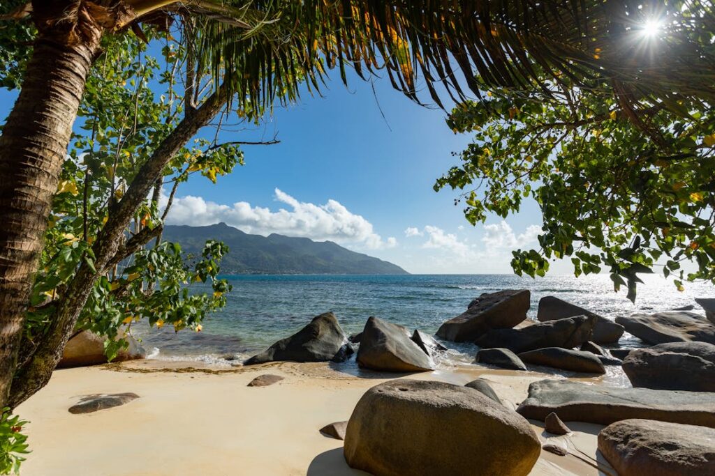 Seychelles Visa from India: pexels-photo-9793432