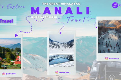 First Time in India: Delhi to Manali Volvo Bus Journey with FREE Food Service at Zingbus Maxx