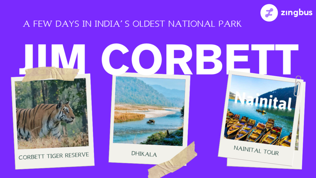 Purple Polaroid Tourism - Collage Travel Blog  - WordPress - 10 Best Places to Visit in Jim Corbett in 2025 A Complete Travel Guid