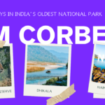 Purple Polaroid Tourism - Collage Travel Blog - Wordpress - 10 Best Places to Visit in Jim Corbett in 2025 A Complete Travel Guid