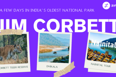 10 Best Places to Visit in Jim Corbett in 2025: A Complete Travel Guide