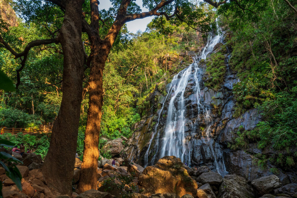 incredible bee_falls - Pachmarhi 