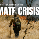 California’s Climate Crisis & Rising Temperatures Are EVs like Electric Buses the Answer to Wildfires and Heat Waves - modern - blog - thumbnail