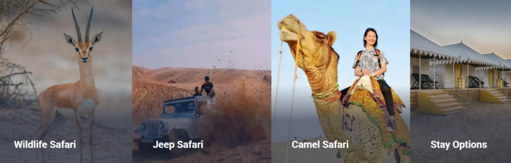 Desert National Park - Jaisalmer - Rajasthan