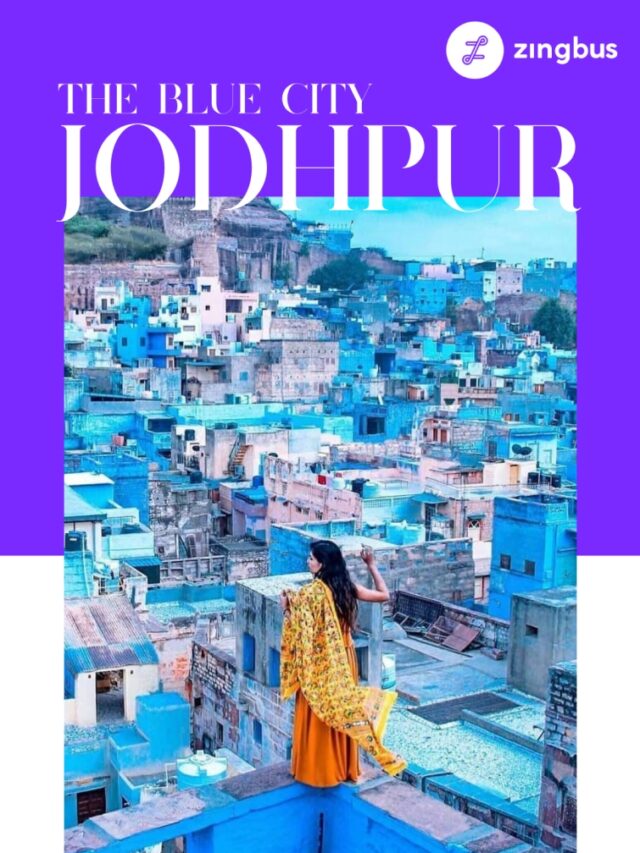 Expore Jodhpur – India’s Only Magical Blue City with Blue Buildings