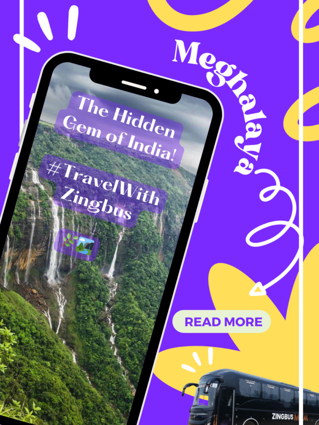 Discover Meghalaya with Zingbus – The Hidden Gem of India!