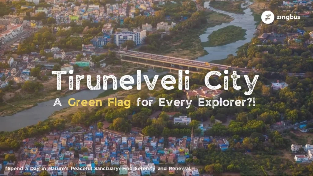 aerial view: White and Yellow -  What Makes Tirunelveli City a Green Flag for Every Explorer! - 01