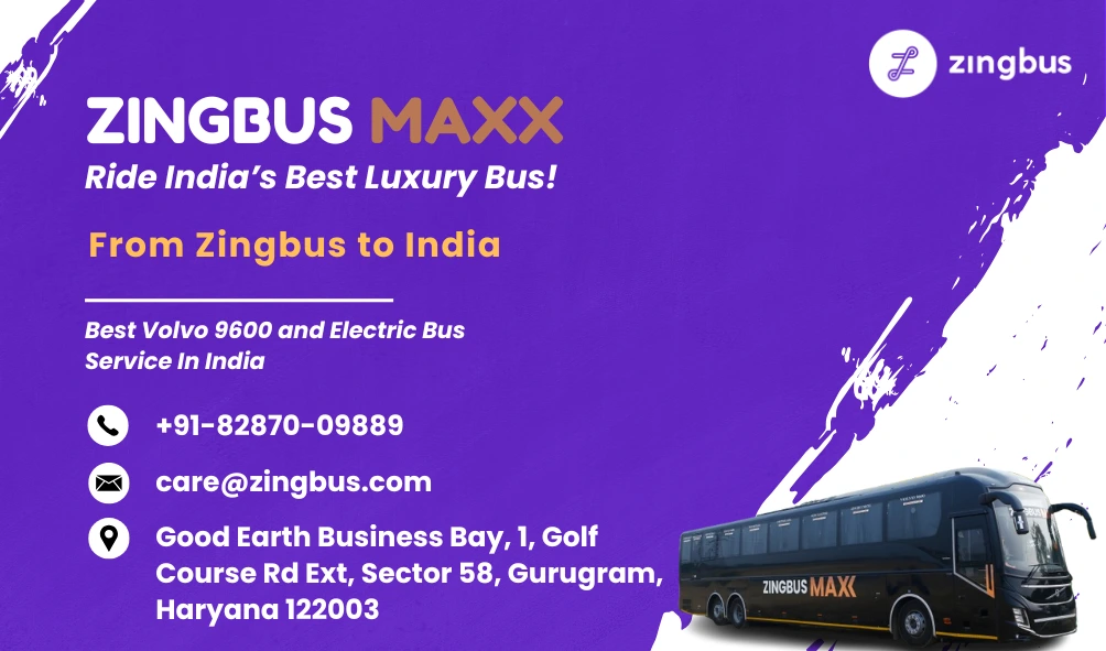 Intercity Bus: Yellow-Purple-White-Zingbus-Max-Ad-by-Zingbus